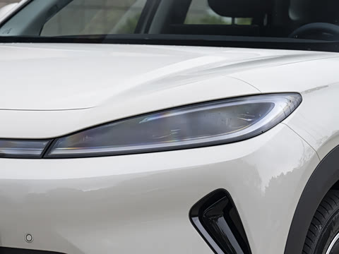 2026�� DM-i �Ǻ���