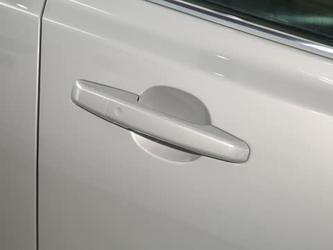 2025�� 2.0T P250 ��������������