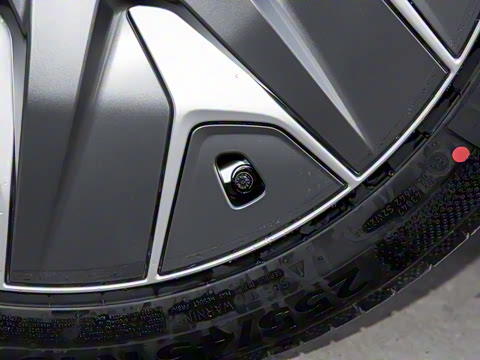 2025�� ������ȫ��������