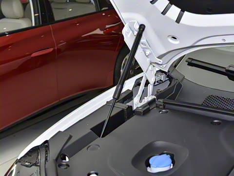 2025�� 565�����ȷ��