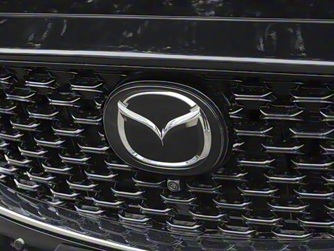 2025�� 2.0L �Զ���������Pro