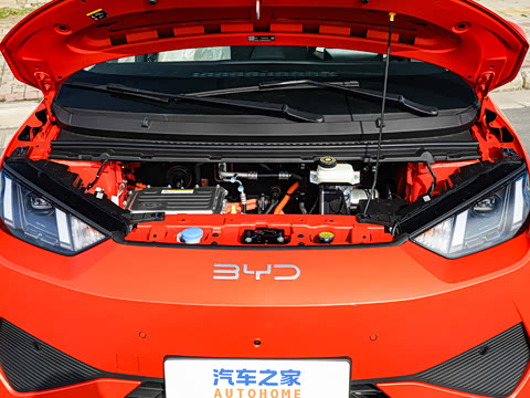 2026�� 305km ���ɰ�