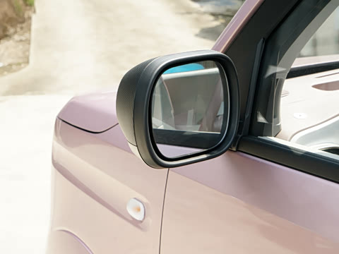 2025�� ������