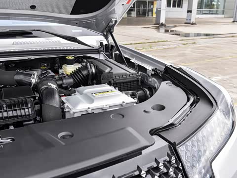 2026�� ������