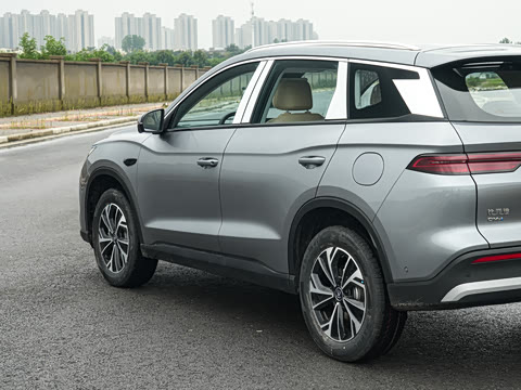 2026�� DM-i 133KM��Խ��