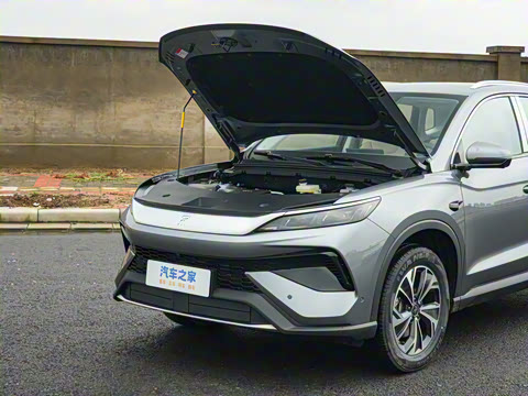 2026�� DM-i 133KM��Խ��