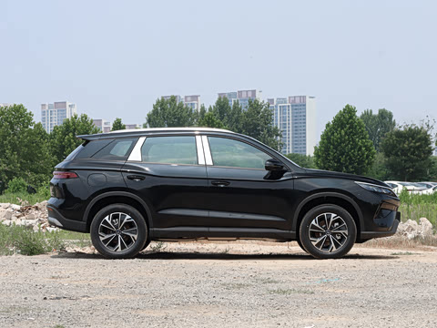 2026�� DM-i 133KM��ȡ��