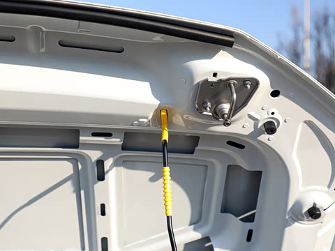 2026�� 300TSI DSG���������