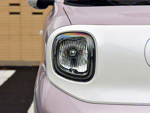 2026�� 222km ��ҫ��