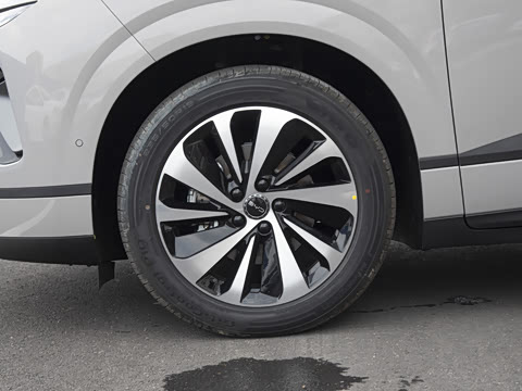 2025�� DM-i 121�캽��