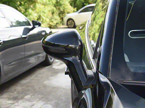 2025�� Max �����