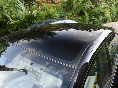 2025�� Max �����