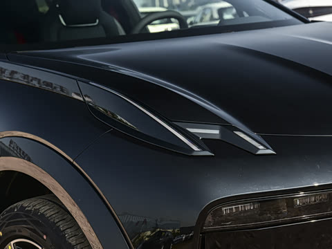 2026�� Max������