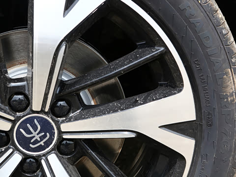 2026�� DM-i 220KM׿Խ��