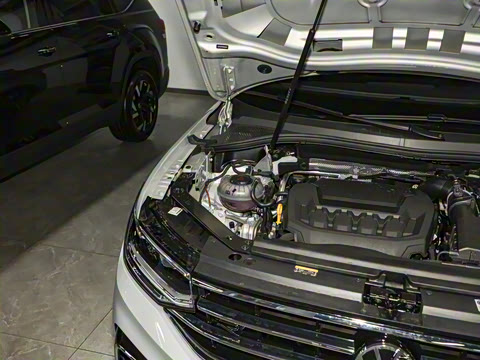 2025�� ���ڿ� 330TSI �Զ�����R-Line��ҫ��