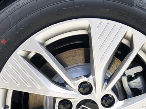 2026�� 565km ��ϲ��
