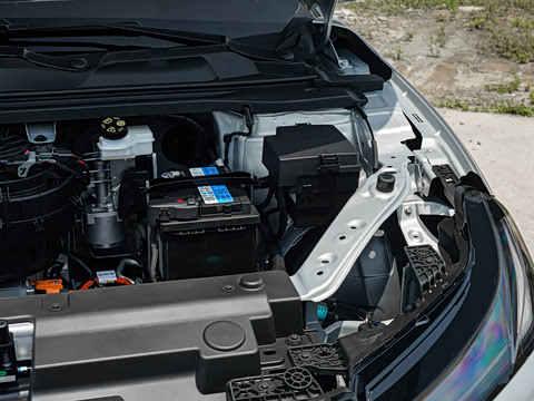 2026�� 535 PLUS�����