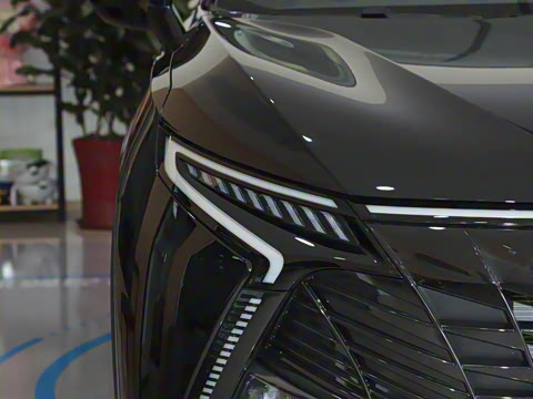 2025�� 1.5T ��ԭ������ 5��