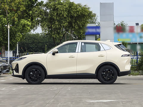 2026�� 600km ������