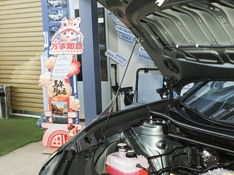 2026�� ������ PRO