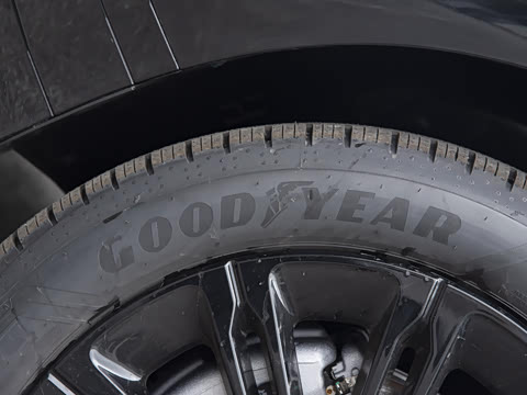 2026�� ��ʤ���� L SE