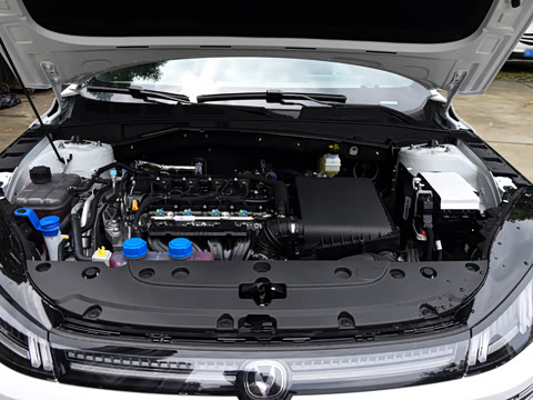 2026�� 1.5L �������� ������