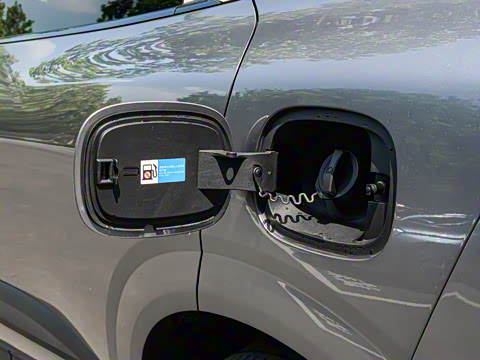 2025�� DM-i 121�캽��