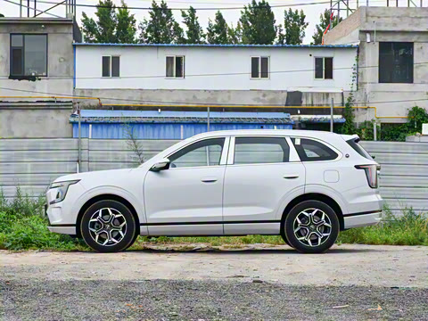 2026�� 220km ������ 5��