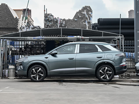 2025�� DM-i 205�캽Pro��