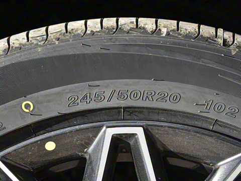 2025�� 500Bar MAX