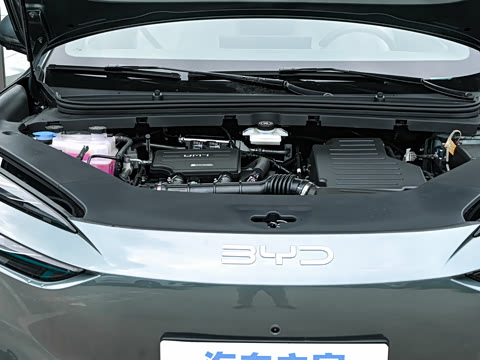 2025�� DM-i 205�캽Pro��