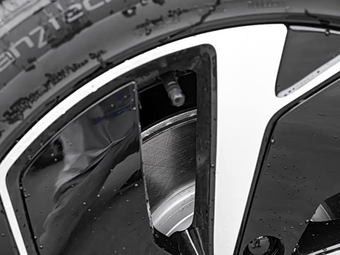 2025�� DM-i 205�캽Pro��