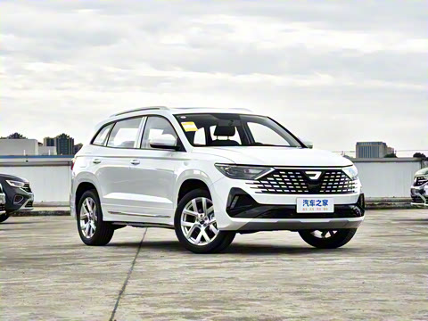 2026�� 280TSI �Զ��ȷ��