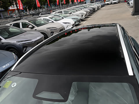 2025�� DM-i 205�캽Pro��