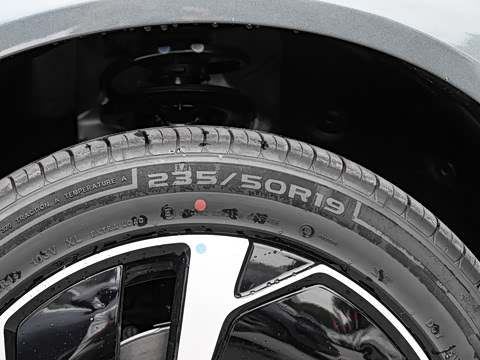 2025�� DM-i 205�캽Pro��