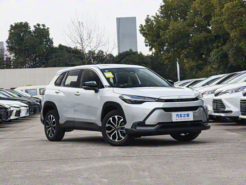 2026�� 2.0L ���ܵ��˫�� ������