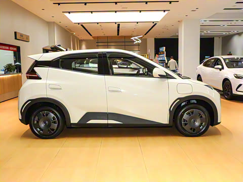 2025�� �Ŀ� �Ǽݰ� 305km ������