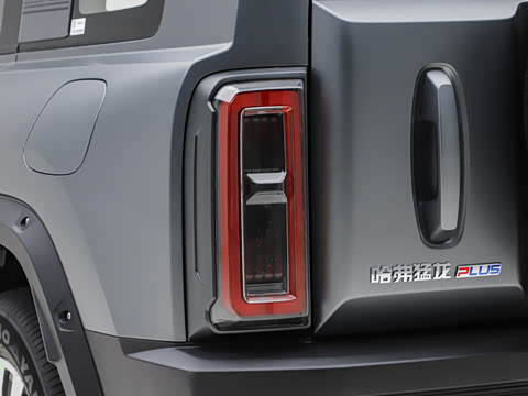 2026�� 255km ������