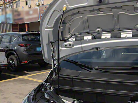 2025�� Plus 610 ������