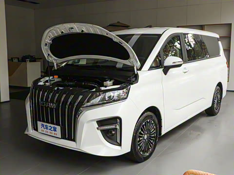 2025�� 2.0L �Զ���������� 7��