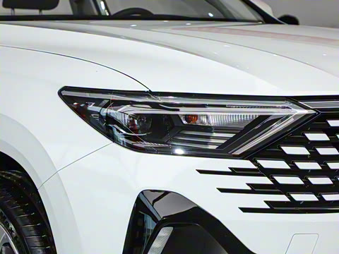 2026�� 280TSI �ֶ��ȷ��