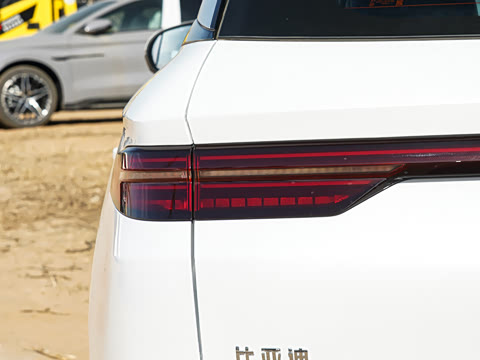 2026�� DM-i 220KM��Խ��