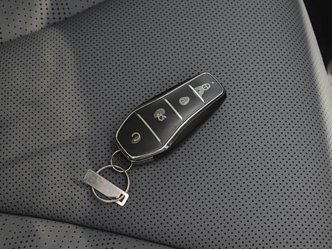 2027�� DM-i 230KM������