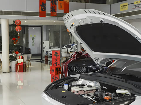 2025�� 565km �����