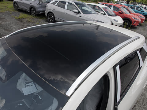 2026�� DM-i 205�캽Pro��