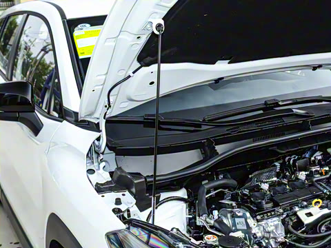 2026�� 2.0L ���ܵ��˫�� �ȷ��