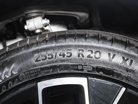 2025�� Elite�����