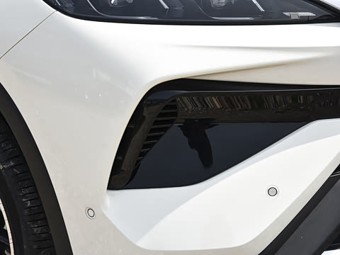 2026�� DM-i 220KM��Խ��