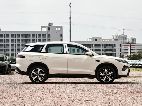 2026�� DM-i 220KM��Խ��