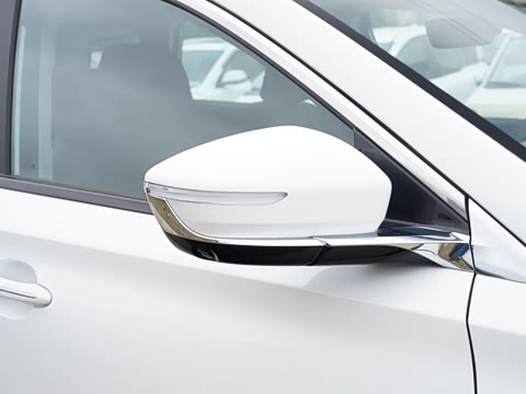 2025�� ������ 5��